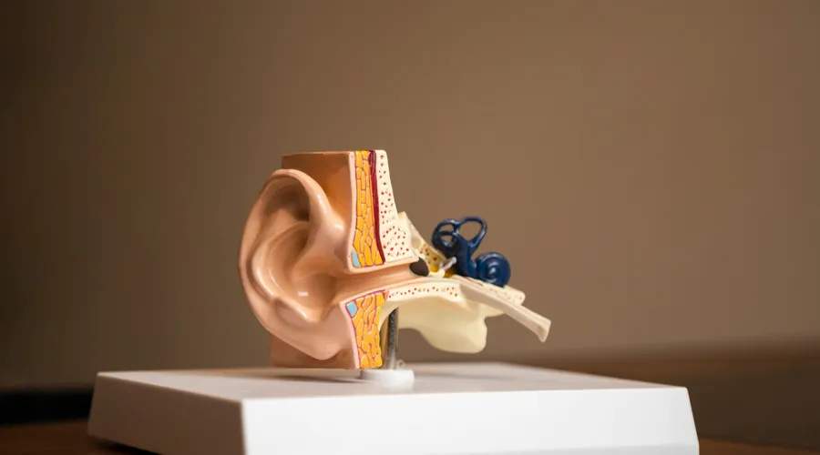 İşitme Sağlığı İçin Kulağınıza Bir Şey Sokmayın!