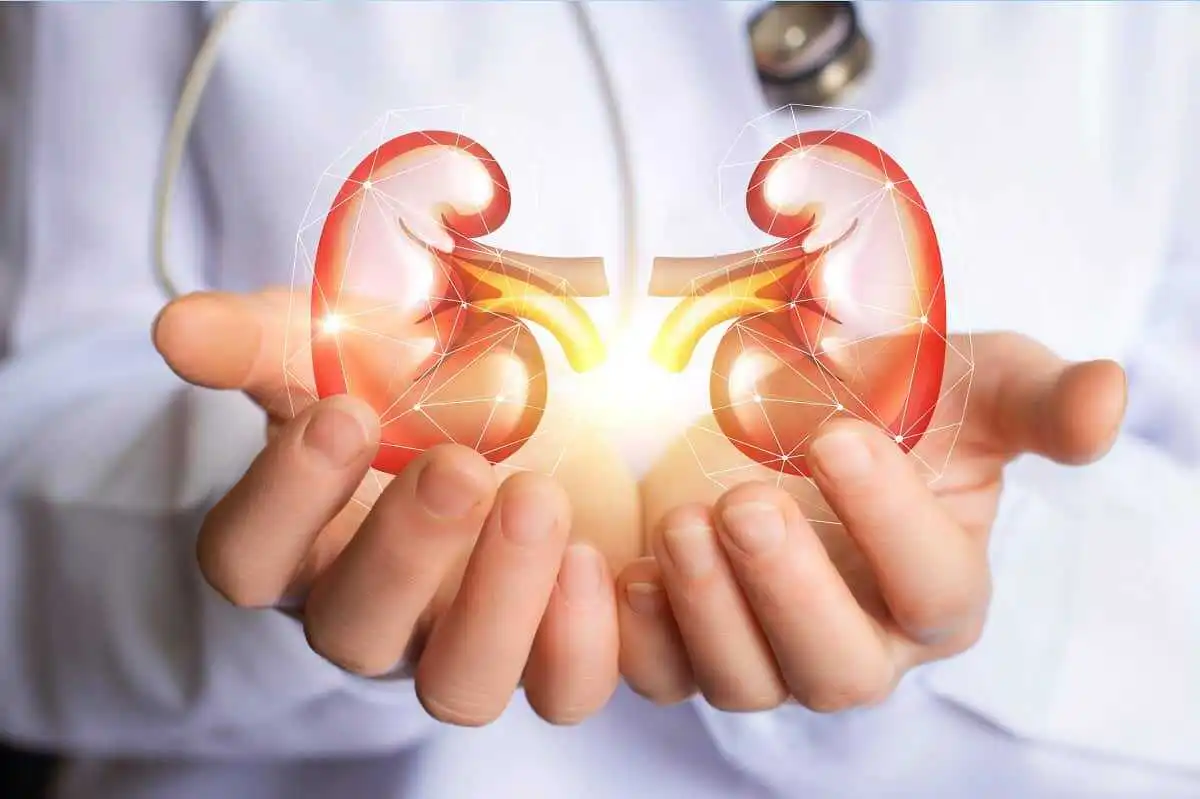 İyi Yaşam Tarzı Böbrek Sağlığını Koruyor