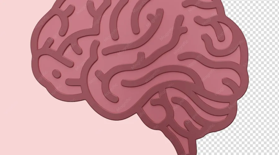 Fosfatidilserin ve Kolin Nedir? Aralarındaki Farklar, Faydaları ve Bilinmesi Gerekenler