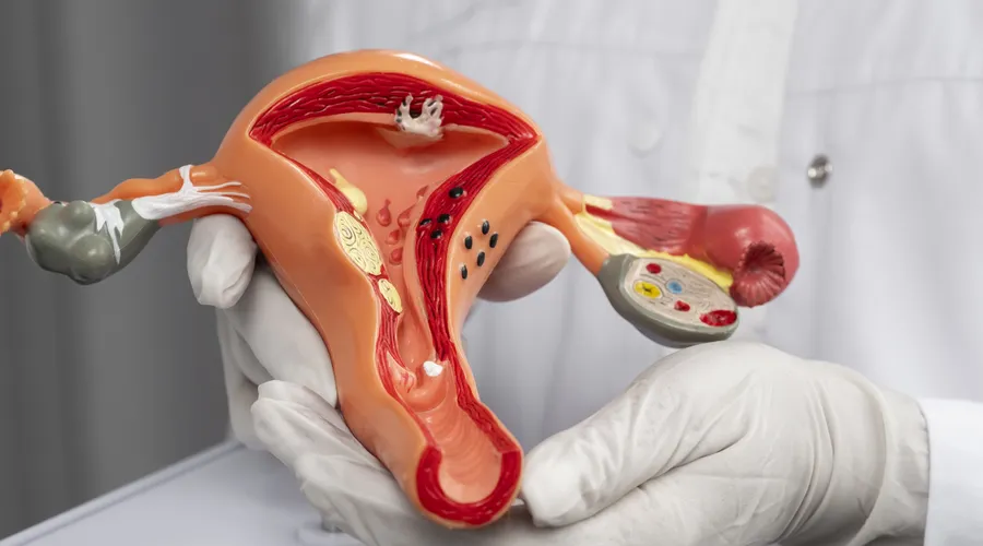 Türk Eczacıları Birliği HPV Eğitimi İle Merak Edilenlere Yanıtlar Sundu