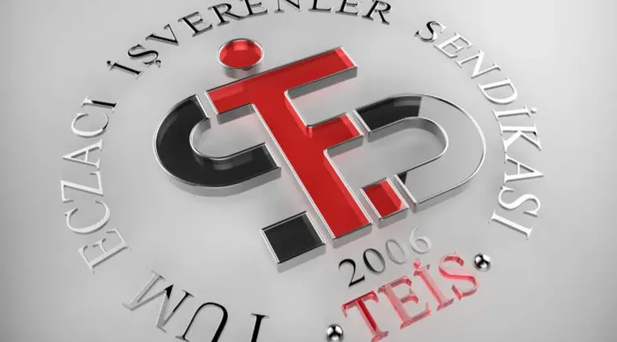Genel Kurul Yapısına Geçen TEİS, Delege Seçimi İçin Başvuru Almaya Başladı