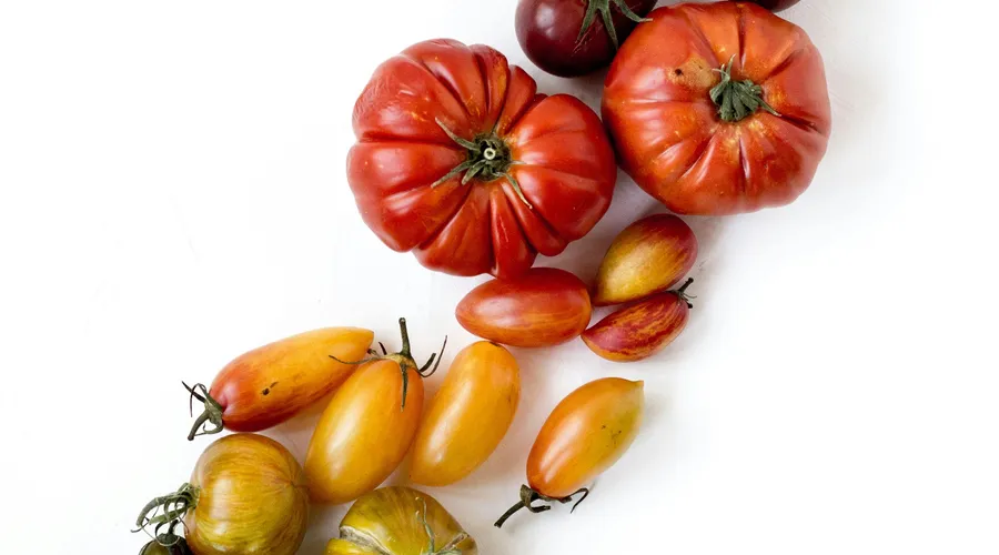 Zeaksantin: Göz Sağlığını Koruyan Güçlü Karotenoid